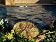 Sabonetes Personalizados para Casamento na Cidade Monções